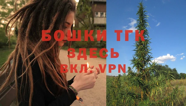 шишки Зеленокумск