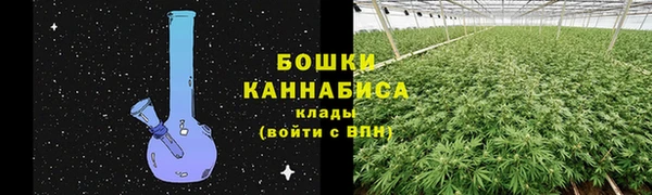 шишки Зеленокумск