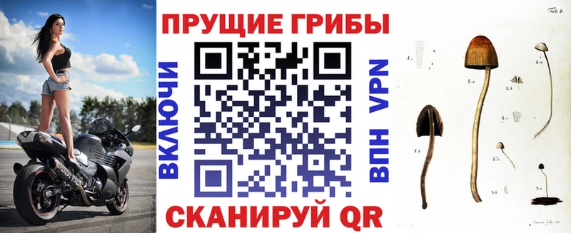 Псилоцибиновые грибы MAGIC MUSHROOMS  Кызыл 